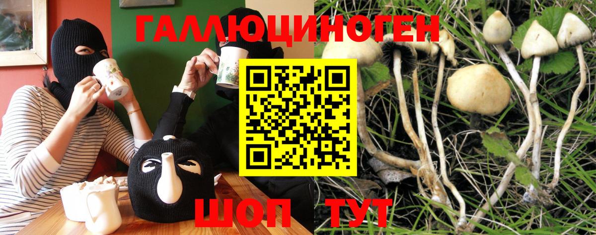 Галлюциногенные грибы мухоморы  Вход с VPN  Златоуст 